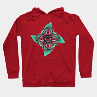 Calaabachti Truth Flower Hoodie